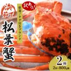 ふるさと納税 京丹後市 ズワイガニ 姿【訳あり!タグ付きブランド蟹】茹で松葉かに　浜茹でにてお届け! 800g級×2杯