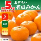 ふるさと納税 有田川町 みかん Sサイズ 箱込 5kg (内容量 4.4kg) 秀品 有田みかん 和歌山 産地直送 贈答用