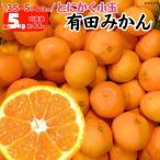 みかん 小玉ちゃん 箱込 5kg