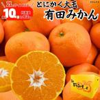 みかん 大玉 どっこいしょ 箱込 10kg
