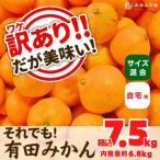 訳あり それでも みかん 箱込 7.5kg