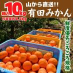 みかん 山から直送 箱込 10kg