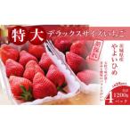 やよいひめ 約300g×4パック