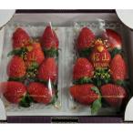 品種いばらキッス 約260g×2パック