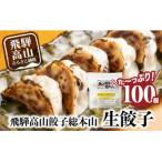 ふるさと納税 高山市 飛騨高山餃子100個入(生冷凍)簡易包装 TR3493