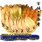 ふるさと納税 伊東市 干物セット【渚C】トロあじ6枚・鯖みりん4枚・汐さば2枚 伊豆・伊東の干物詰め合せ
