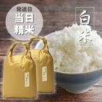 令和7年産 かすやそだち米 元気つくし 精米 10kg