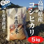 コシヒカリ 米 5kg