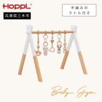 HOPPL ホップル amimals ベビージムセット