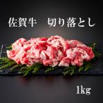牛肉 セット 佐賀牛 焼肉用 はしっこちゃん