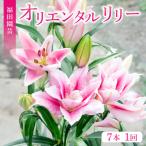 ユリ オリエンタルリリー 7本