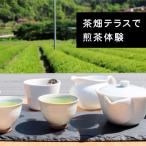 体験チケット 参加チケット 茶畑を一望するお茶農家のテラ…