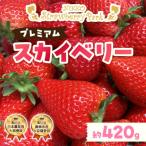 日光ストロベリーパークのプレミアム スカイベリー