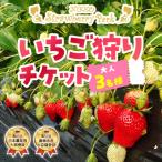 日光ストロベリーパーク いちご狩り食べ放題チケット