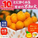 ふるさと納税 有田川町 不知火 (しらぬい) とにかく小玉 箱込 10kg ( 内容量 9.2kg ) 秀品 優品 混合