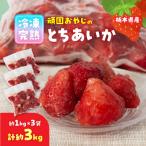 頑固おやじの冷凍完熟とちあいか合計3kg