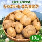 じゃがいも キタアカリ Lサイズ