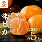 JAにしうわの季節の柑橘 川上共選味ピカ5kg
