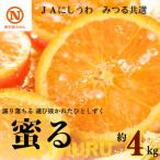 JAにしうわの季節の柑橘 みつる共選 蜜る 約4kg