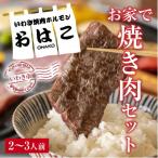 ふるさと納税 いわき市 【味付焼肉セット】焼き肉専門店からお届け・ハラミ・カルビ・ロース・厚切りハラミ・豚カルビ2〜3人前