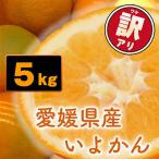 ふるさと納税 松山市 《先行受付》訳あり家庭用 宮内伊予柑 5kg　愛媛県産 【2026年1月上旬〜2月順次発送】みかん
