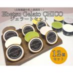 CHICOのジェラート12個 6種×各2個