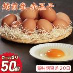 越前産 赤玉子 50個