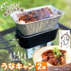うなぎでキャンプ飯 うなキャン2個セット
