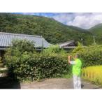 空き家見回りサービス 1回分