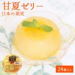 甘夏ゼリー24個セット