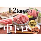 豪華 中トロセット マグロ 本マグロ600g+メバチマグロ600g