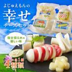 ふるさと納税 いすみ市 よじゅえもんの幸せチーズセット