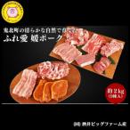 の清らかな自然で育てた ふれ愛 媛ポーク 約2kg