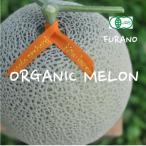 ショッピングふるさと納税 メロン ふるさと納税 富良野市 オーガニックメロン 2玉入り箱 3.8kg以上 赤肉メロン【2026年7月上旬より順次発送】