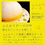 ふんわりチーズ