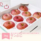 サンふじ 約3kg