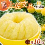 千光士農園 土佐文旦 10kg