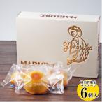 葉山ビーカープリン マーロウ よこすかオリジナルパッケージ
