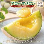 ふるさと納税 磐田市 【通年出荷】アローマメロン(小玉) 2玉入【静岡高級マスクメロン】
