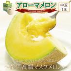 ふるさと納税 磐田市 【通年出荷】アローマメロン(中玉)1玉入【静岡高級マスクメロン】
