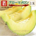 ふるさと納税 磐田市 【訳あり高級メロン】アローマメロン 1玉入【通年出荷】