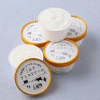 ふるさと納税 富山市 低温殺菌アデア牛乳100%のミルクアイスクリーム10個入り