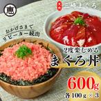 三崎まぐろ 2度おいしい まぐろ2色丼 セット 600g