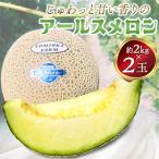 じゅわっと甘い香りのアールスメロン2玉