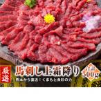 熊本直送 ブロック肉 上霜降り トロ 500g