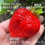 箱入り 大粒あまおう 約560g