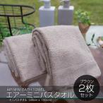 ふるさと納税 泉佐野市 エアーミニバスタオル 2枚(ブラウン) 099H1891