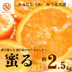 JAにしうわの季節の柑橘 みつる共選 蜜る 約2.5kg
