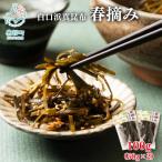 白口浜真昆布 春摘み 100g