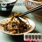 白口浜真昆布 春摘み 250g